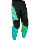 Fly Racing 2026 F-16 Pants. Fixed Price $99.95.
