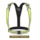 Triumph Bright Brace Yellow High Visibility Motorcycle Straps MFNA2043. Fixed Price $54.75.