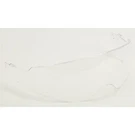 Gmax Shield Clear LARGE-2X-LARGE GM-55 G980218. Fixed Price $15.80.