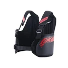 Alpinestars Italy Rib Protection Black-red (xl/xxxl). Fixed Price $175.90.