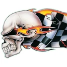 Lethal Threat Decal "checkered Skull" Left. Fixed Price $5.99.