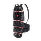 Dainese Back Protector Pro-armor Short 2 001 With Straps Level. Fixed Price $230.36.