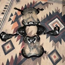 Fox Racing R3 Roost Deflector Chest Protector Youth Kids Medium Guard. Fixed Price $40.00.