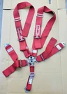Simpson 5 Point Camlock Harness, Red. Fixed Price $100.00.