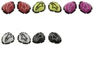 Alpinestars Adult Gp Plus Knee Sliders One Size Red Yellow Pink White Black. Fixed Price $59.19.